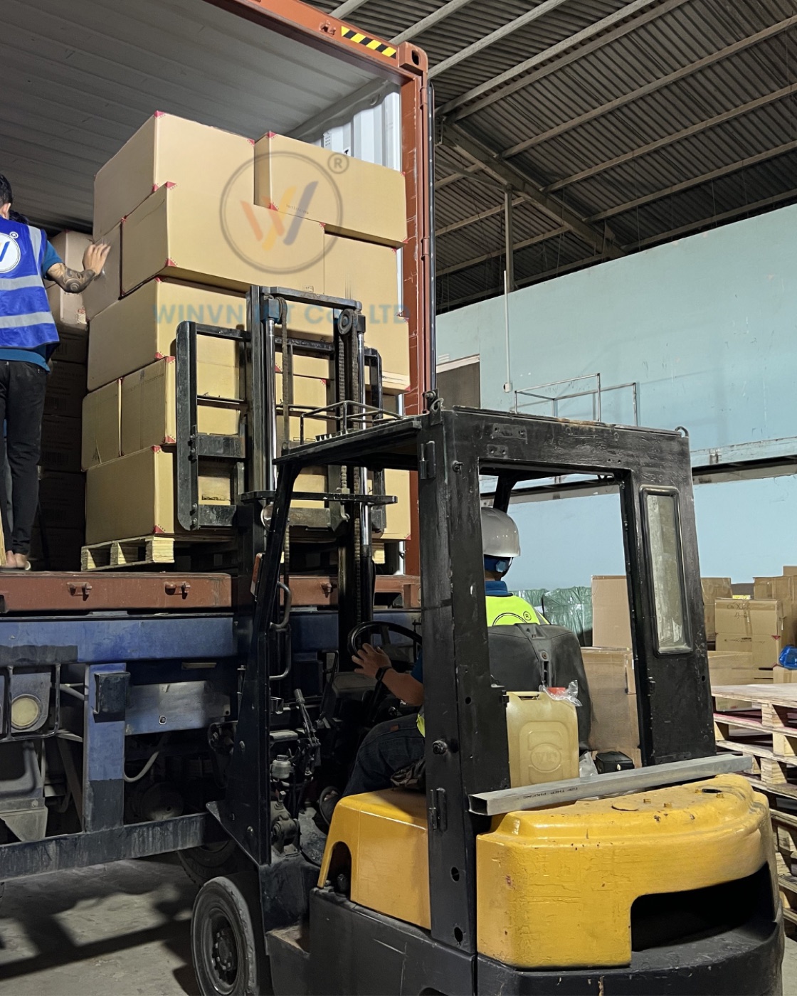 Export cartons stacked and ready for container loading