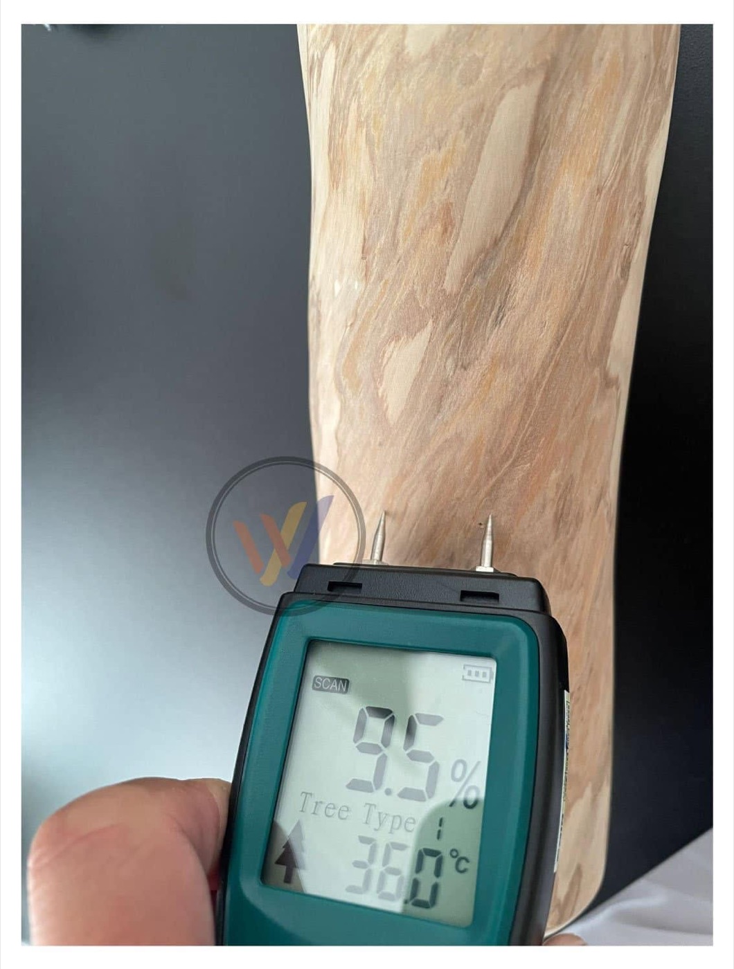 Moisture reading being measured on a coffee wood batch