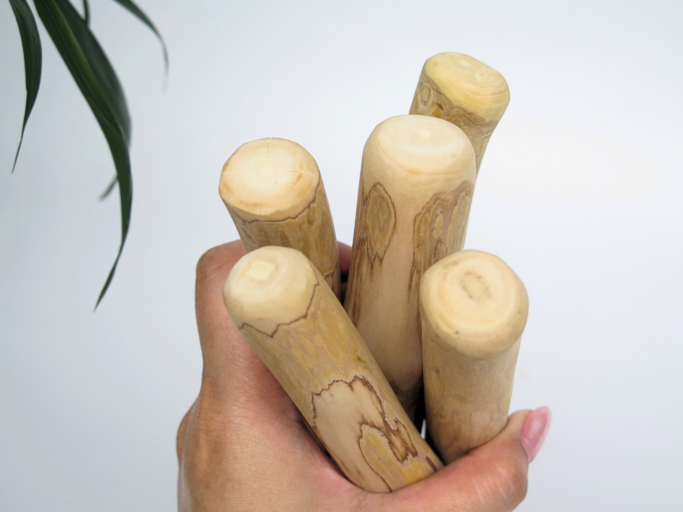 A hand holding five coffee wood dog chews of different sizes